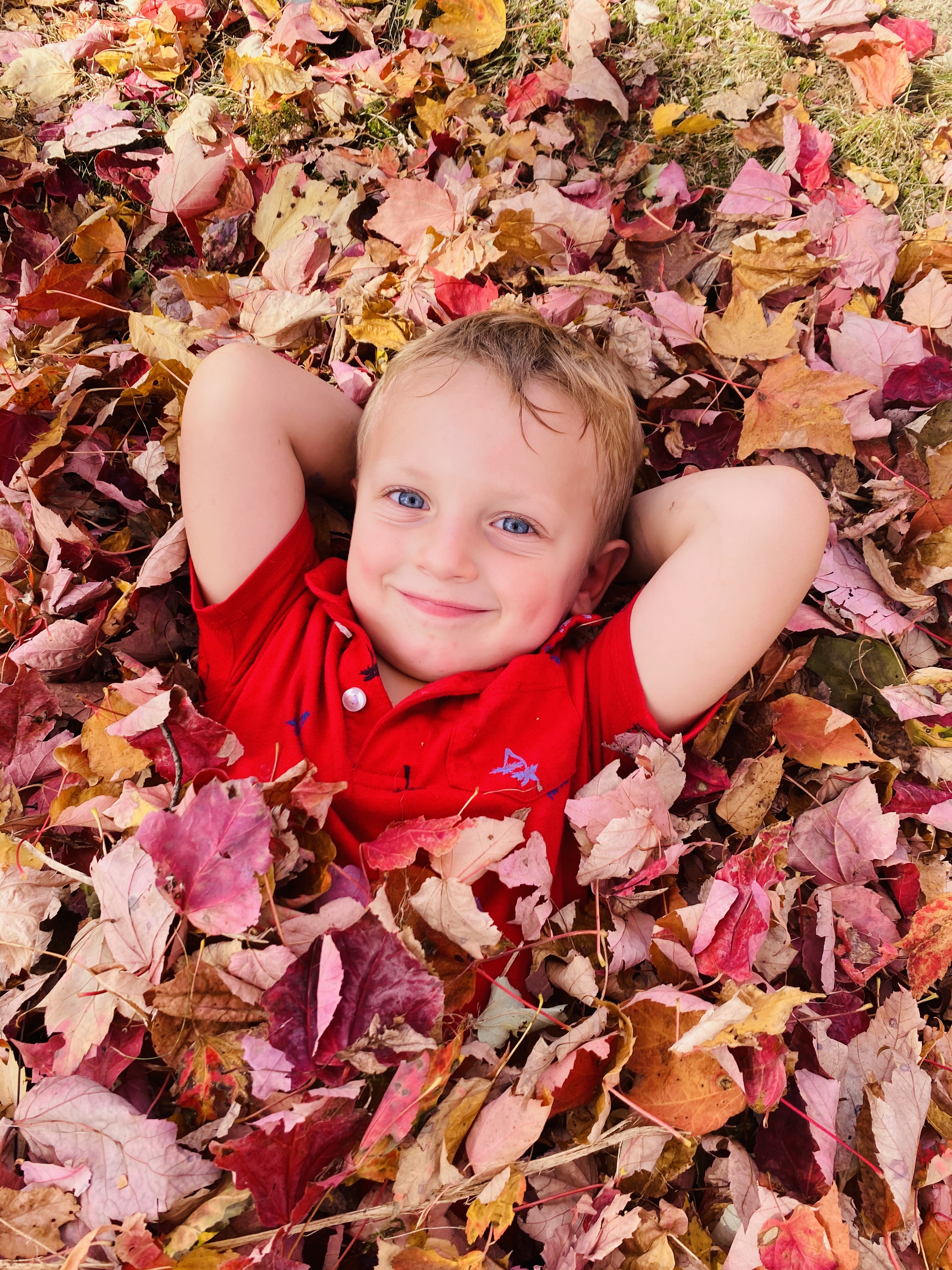boy playing in leaves